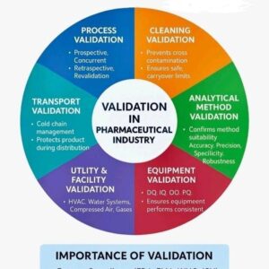 Validation Why Validation Is the Silent Backbone of Pharma Quality